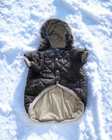 Black Comfly Köpek Montu, Orta ve Büyük Irklar için - 2