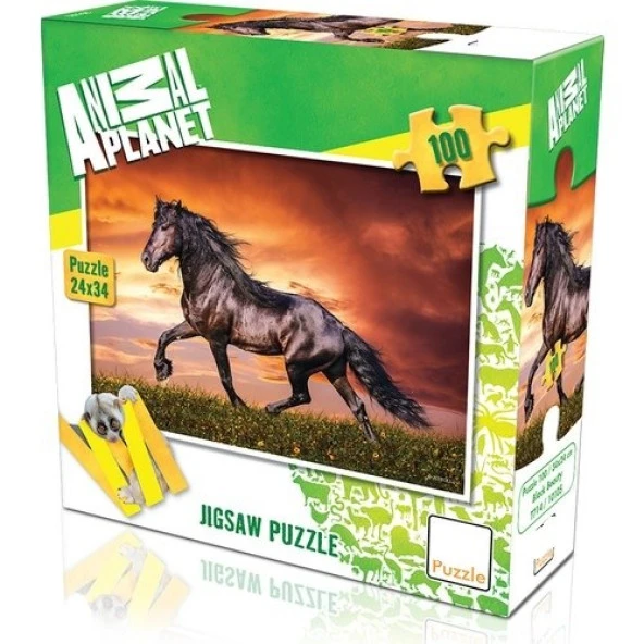 Hayal Sepeti Puzzle AT modeli 100 Parça 24X34Cm