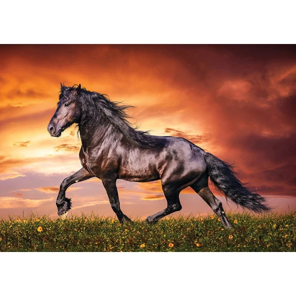 Hayal Sepeti Puzzle  AT modeli  100 Parça 24X34Cm - 2