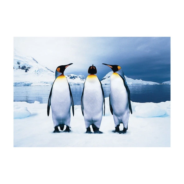 Hayal Sepeti Puzzle  PENGUENLER  100 Parça 24X34Cm - 2