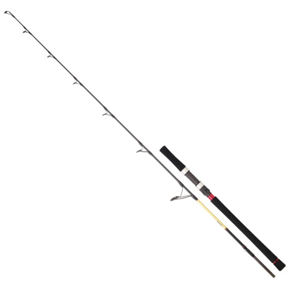 Daiwa Grandwave 168 cm 100-300 gr Tetikli Jig Kamış