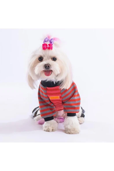 Pawstar Kedi ve KÜÇÜK Köpek Terracotta Foodie Rompers XL Sırt38cm Göğüs55cm Boyun34cm - Resim 2