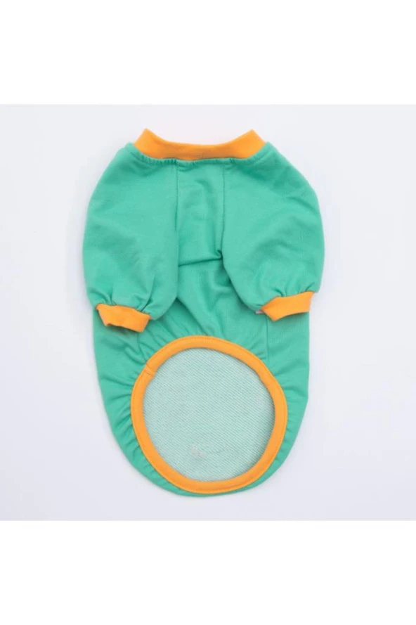 Pawstar Kedi ve KÜÇÜK Köpek Mint Bone Hunter Sweat XL Sırt38cm Göğüs55cm Boyun34cm - 4