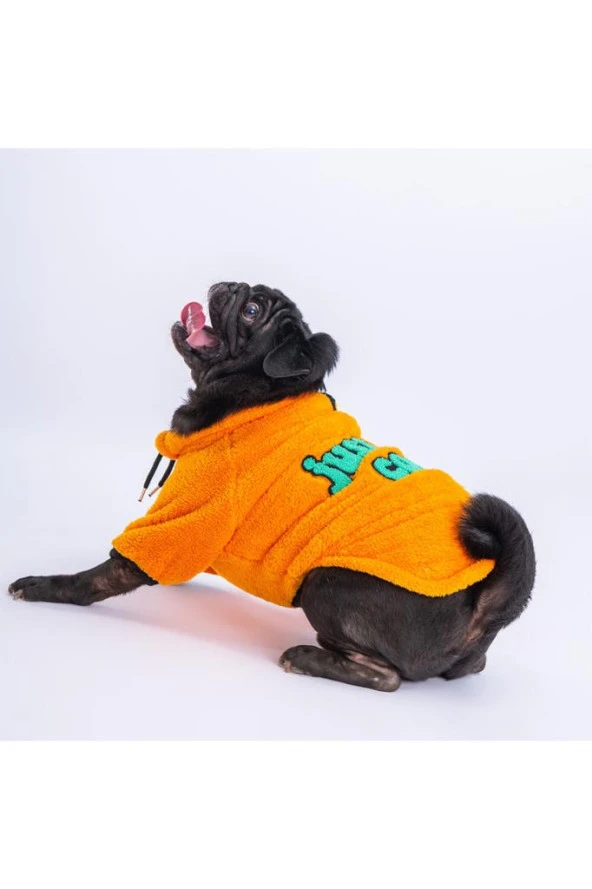 Pawstar Kedi ve KÜÇÜK Köpek Yellow Just Sweat M Sırt28cm Göğüs41cm Boyun26cm - 7