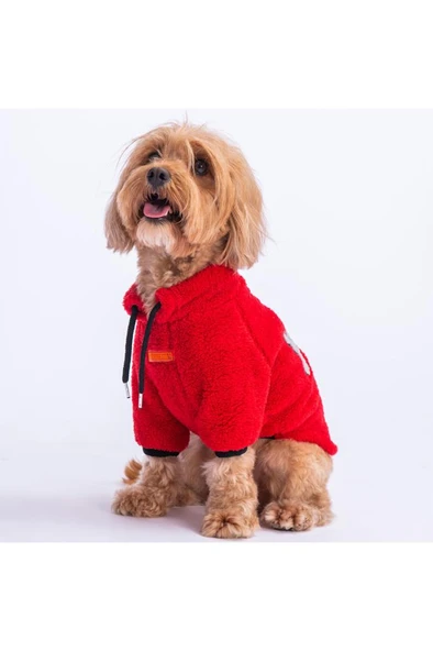 Pawstar Kedi ve KÜÇÜK Köpek Red Just Sweat L Sırt33cm Göğüs46cm Boyun30cm ürün görseli