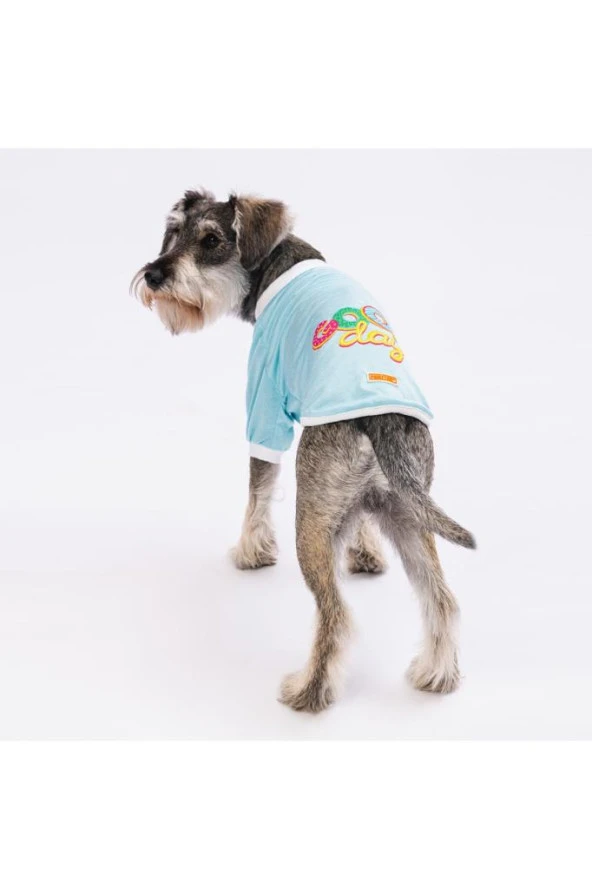 Pawstar Kedi ve KÜÇÜK Köpek Blue Good Day Sweat XL Sırt38cm Göğüs55cm Boyun34cm
