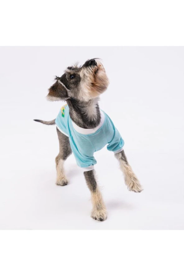 Pawstar Kedi ve KÜÇÜK Köpek Blue Good Day Sweat 2XL Sırt43cm Göğüs58cm Boyun38cm - 3