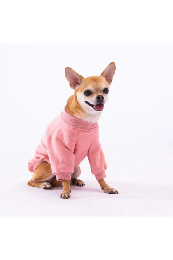 Pawstar Köpek Pink Power Sweat Large Sırt33cm Göğüs46cm Boyun30cm - Resim 2