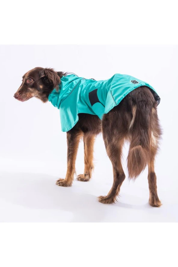 Pawstar Kedi ve KÜÇÜK Köpek Mint Colombia Raincoat S Sırt24cm Göğüs37cm Boyun23cm