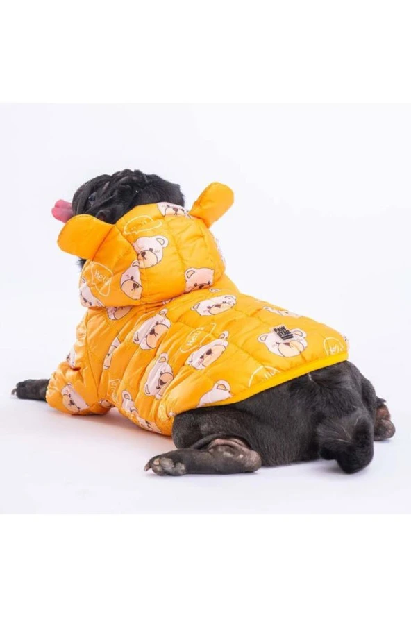 Pawstar Köpek Yellow Teddy Puff Raincoat Large Sırt33cm Göğüs46cm Boyun30cm