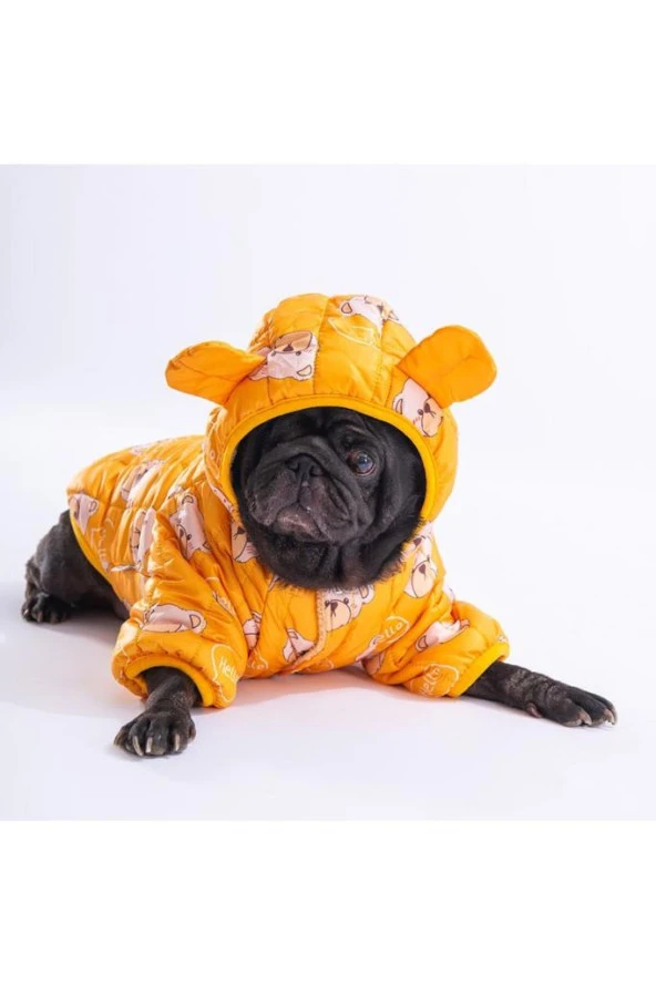 Pawstar Köpek Yellow Teddy Puff Raincoat Large Sırt33cm Göğüs46cm Boyun30cm - Resim 2