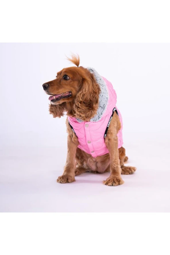 Pawstar Köpek Pink Light Wave Vest Large Sırt33cm Göğüs46cm Boyun30cm - Resim 2