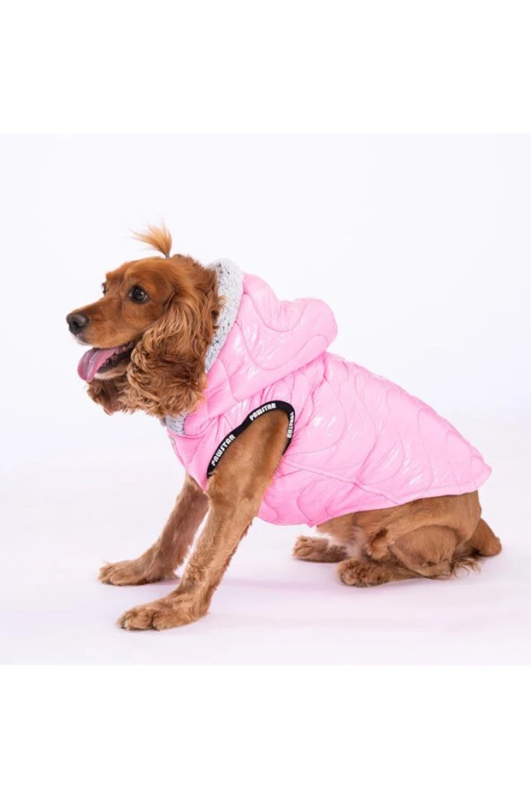 Pawstar Köpek Pink Light Wave Vest Medium Sırt28cm Göğüs41cm Boyun26cm