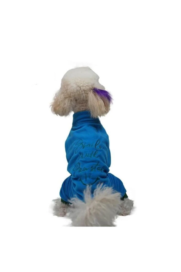 Pawstar Kedi ve KÜÇÜK Köpek Mavi Smile Tulum S Sırt24cm Göğüs37cm Boyun23cm