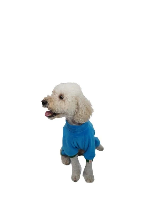 Pawstar Kedi ve KÜÇÜK Köpek Mavi Smile Tulum S Sırt24cm Göğüs37cm Boyun23cm - 3