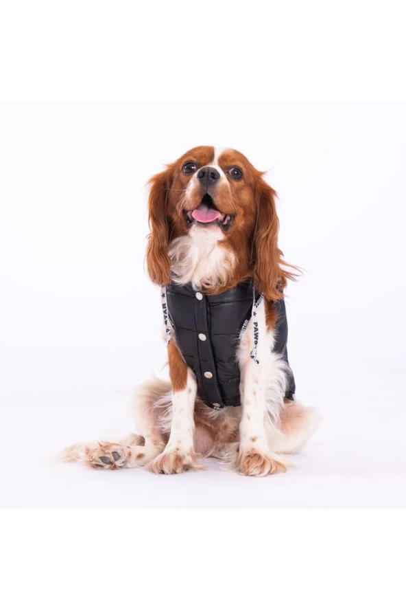 Pawstar Köpek Siyah Railway Yelek 2XLarge Sırt43cm Göğüs58cm Boyun38cm - 3