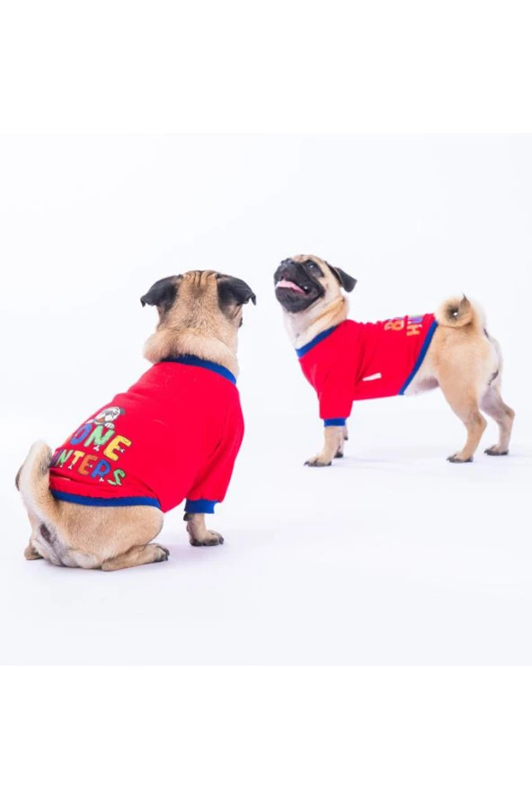 Pawstar Kedi ve KÜÇÜK Köpek Red Bone Hunter Sweat 2XL Sırt43cm Göğüs58cm Boyun38cm