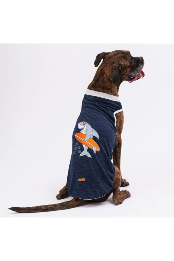 Pawstar Köpek Navyblue Shark Big T-shirt Büyük 5XLarge Sırt62cm Göğüs79cm Boyun51cm