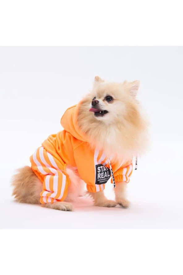 Pawstar Köpek Orange Tuta Rompers 2XLarge Sırt43cm Göğüs58cm Boyun38cm - 2