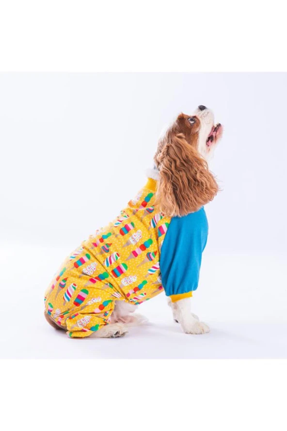 Pawstar Köpek Ice Creams Pyjamas 2XLarge Sırt43cm Göğüs58cm Boyun38cm