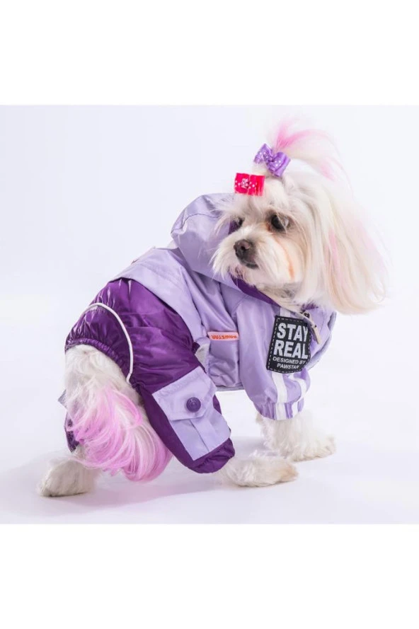 Pawstar Köpek Lilac-Purple Bicolor Rompers Medium Sırt28cm Göğüs41cm Boyun26cm