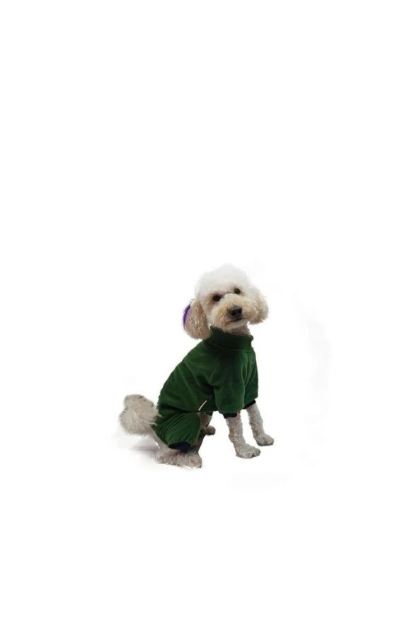 Pawstar Kedi ve KÜÇÜK Köpek Koyu Yeşil Smile Tulum M Sırt28cm Göğüs41cm Boyun26cm - 2