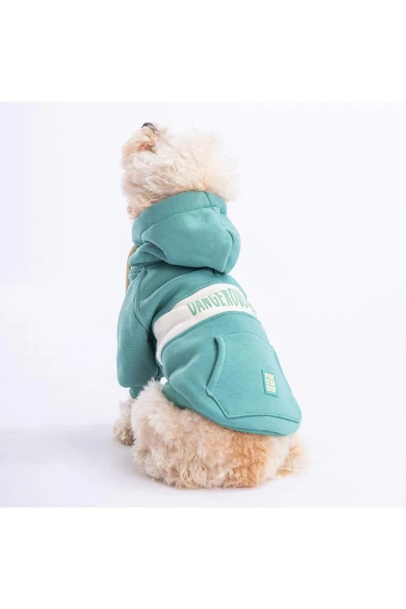 Pawstar Kedi ve KÜÇÜK Köpek Green Cute Hoodie L Sırt33cm Göğüs46cm Boyun30cm - 2