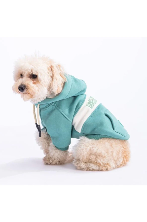 Pawstar Kedi ve KÜÇÜK Köpek Green Cute Hoodie L Sırt33cm Göğüs46cm Boyun30cm - 3
