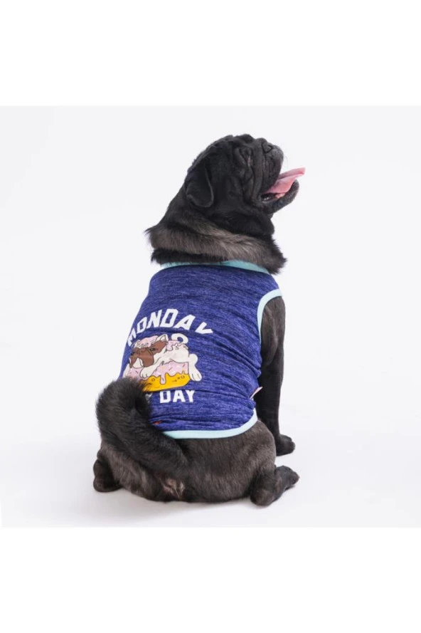 Pawstar Köpek T-Shirt Purple Lazy XLarge Sırt38cm Göğüs55cm Boyun34cm