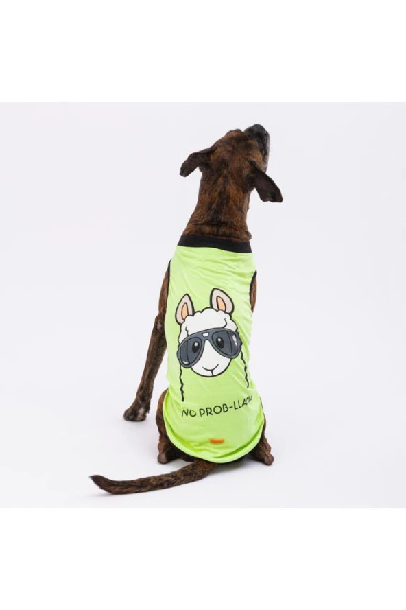 Pawstar Köpek T-Shirt Yeşil No Prob-Lama Büyük 7XLarge Sırt76cm Göğüs92cm Boyun59cm