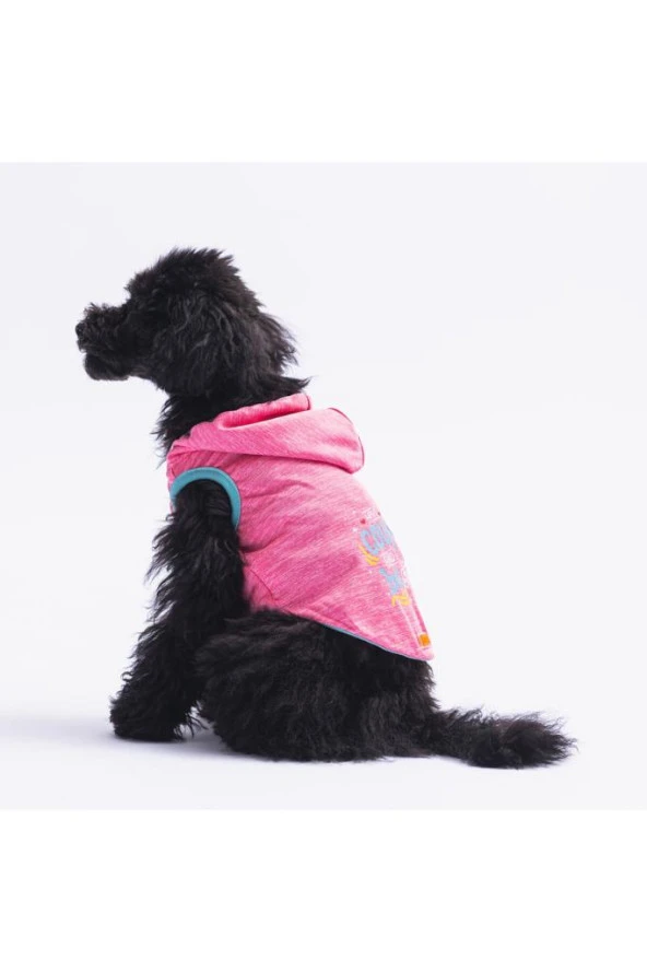 Pawstar Kedi ve KÜÇÜK Köpek T-Shirt Pink Style Hooded Kapşonlu M Sırt28cm Göğüs41cm Boyun26cm