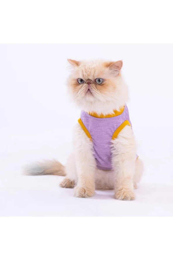 Pawstar Kedi ve KÜÇÜK Köpek T-Shirt Plum Lazy M Sırt28cm Göğüs41cm Boyun26cm - 3