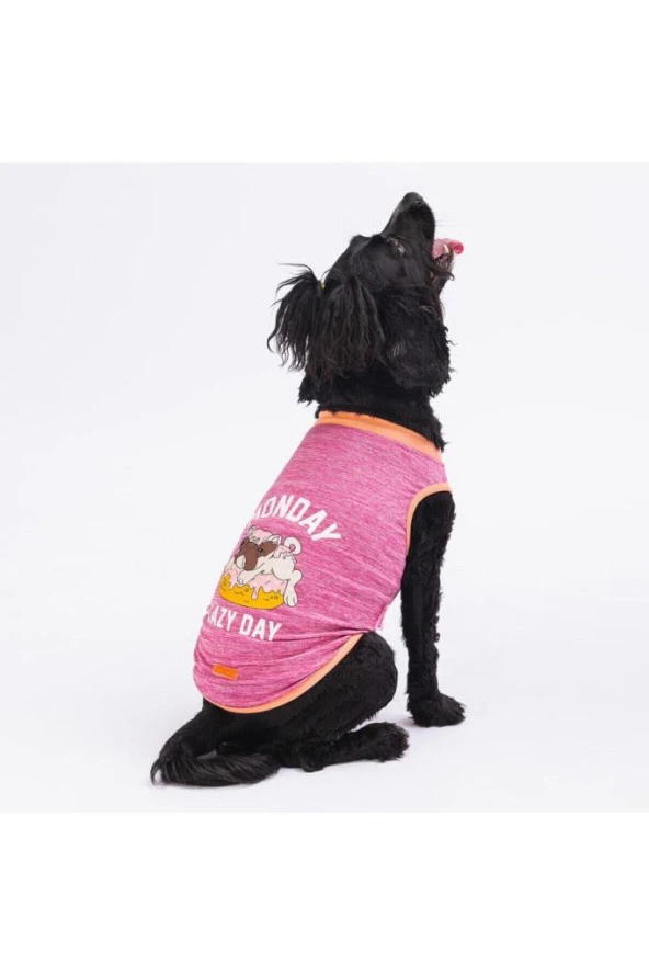 Pawstar Kedi ve KÜÇÜK Köpek T-Shirt Fuchsia Lazy M Sırt28cm Göğüs41cm Boyun26cm