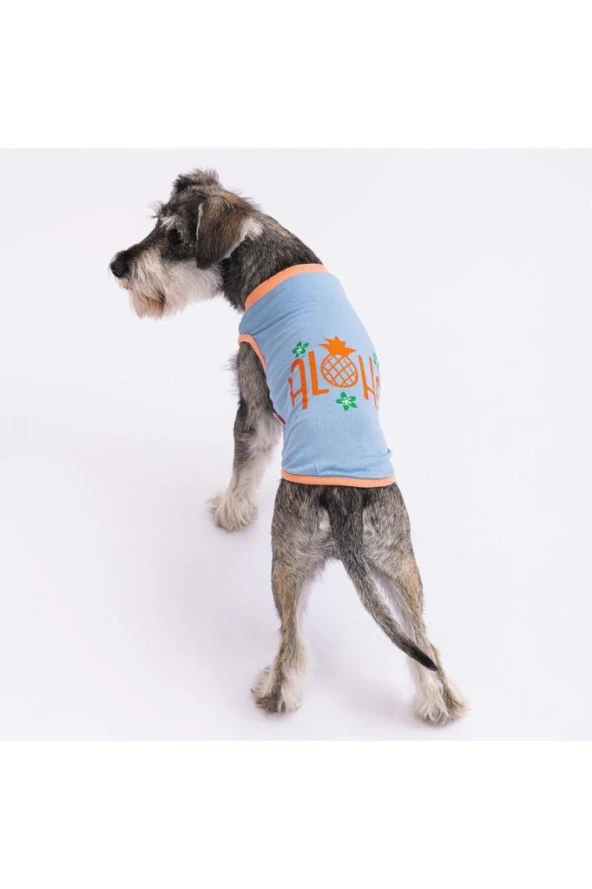 Pawstar Kedi ve KÜÇÜK Köpek T-Shirt Blue Aloha L Sırt33cm Göğüs46cm Boyun30cm