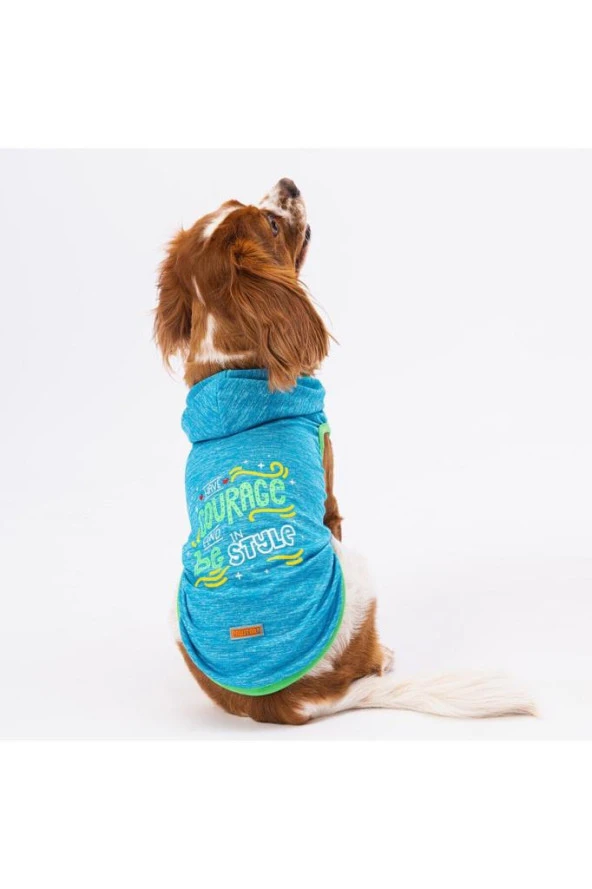 Pawstar Kedi ve KÜÇÜK Köpek T-Shirt Blue Style Hooded Kapşonlu 2XL Sırt43cm Göğüs58cm Boyun38cm