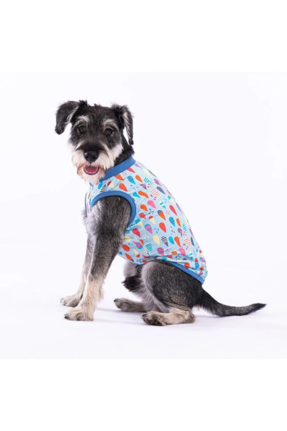 Pawstar Kedi ve KÜÇÜK Köpek T-Shirt Blop 2XL Sırt43cm Göğüs58cm Boyun38cm