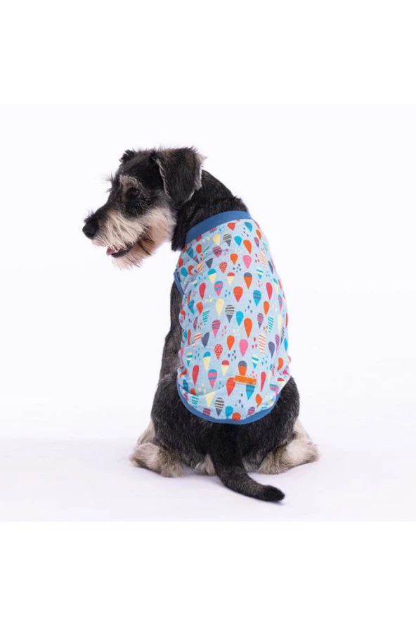 Pawstar Kedi ve KÜÇÜK Köpek T-Shirt Blop M Sırt28cm Göğüs41cm Boyun26cm - 2