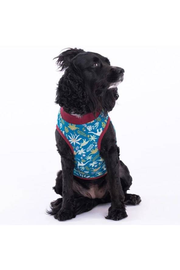 Pawstar Kedi ve KÜÇÜK Köpek T-Shirt Dino XL Sırt38cm Göğüs55cm Boyun34cm