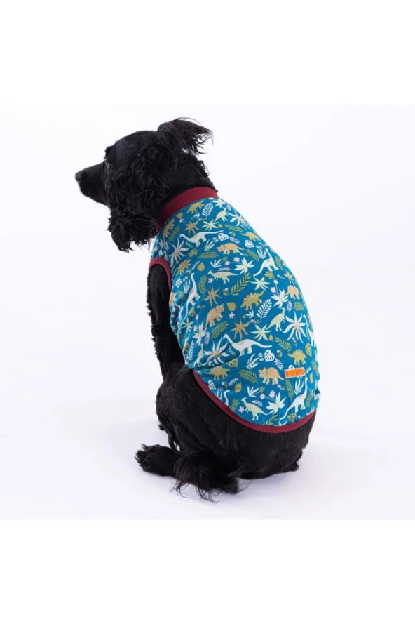 Pawstar Kedi ve KÜÇÜK Köpek T-Shirt Dino L Sırt33cm Göğüs46cm Boyun30cm - 2