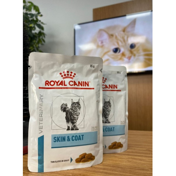 ROYAL CANİN SKİN & COAT TAZE VE ORİJİNAL MAMA