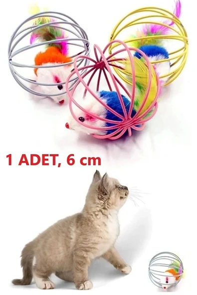 Kafesli Renkli Fareli Kedi Köpek Oyun Topu 6 cm - Resim 3