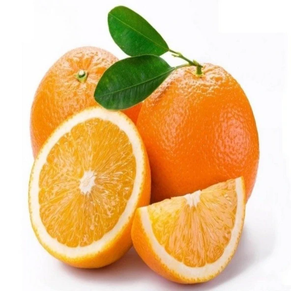 Tüplü Bodur Tipte Washıngton Portakal Fidanı (Meyve Verir Durumda) - 2