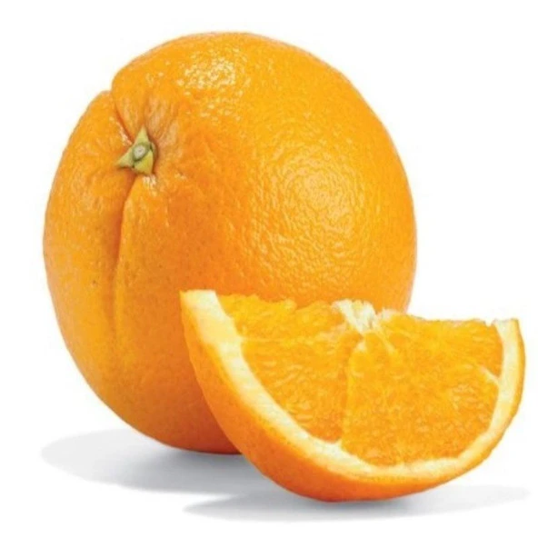 Tüplü Yarı Bodur İri Meyveli Sulu Naveline Portakal Fidanı - 2