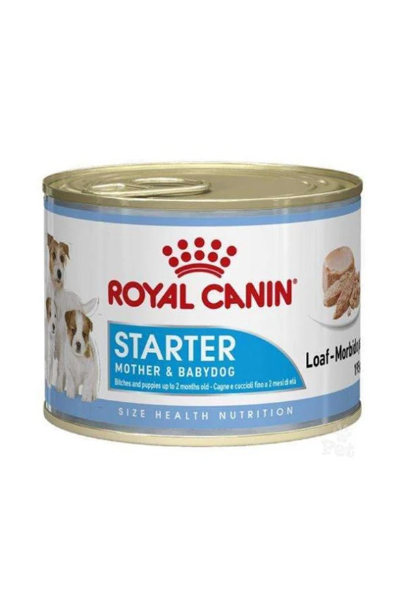 Royal Canin Dog Starter Mousse Yavru Köpek Konservesi-195 Gr
