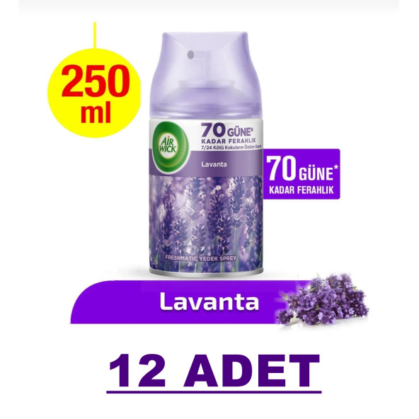 AİRWICK 250ML YEDEK LAVANTA 12 ADET