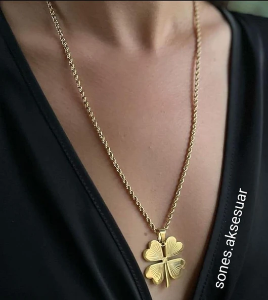 Yonca Çelik Takı Seti Sns500410 - Resim 2