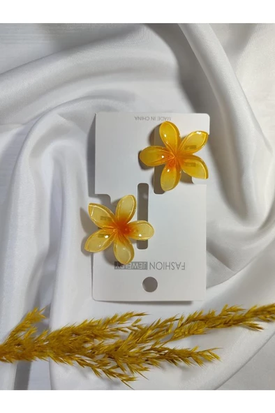 KÜÇÜK LOTUS TOKA 2^Lİ - Resim 4