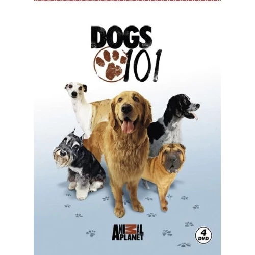 Dogs 101 - Köpekler