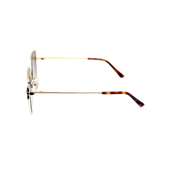 Rachel Paris RP8399 C2 Kadın Güneş Gözlüğü - Resim 3