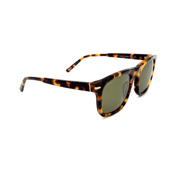 Serengeti SEG CHARLTON 576005 Erkek Güneş Gözlüğü - Resim 4